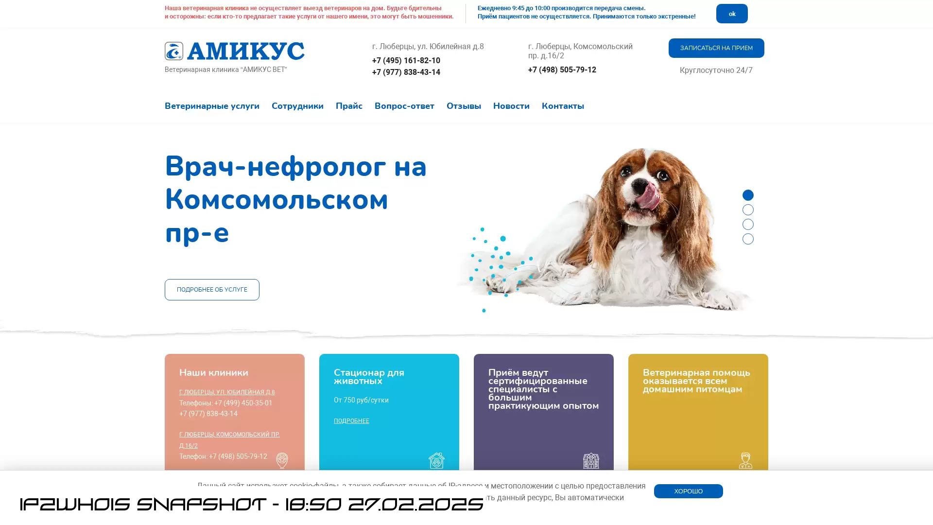 amicus-vet.ru - snapshot