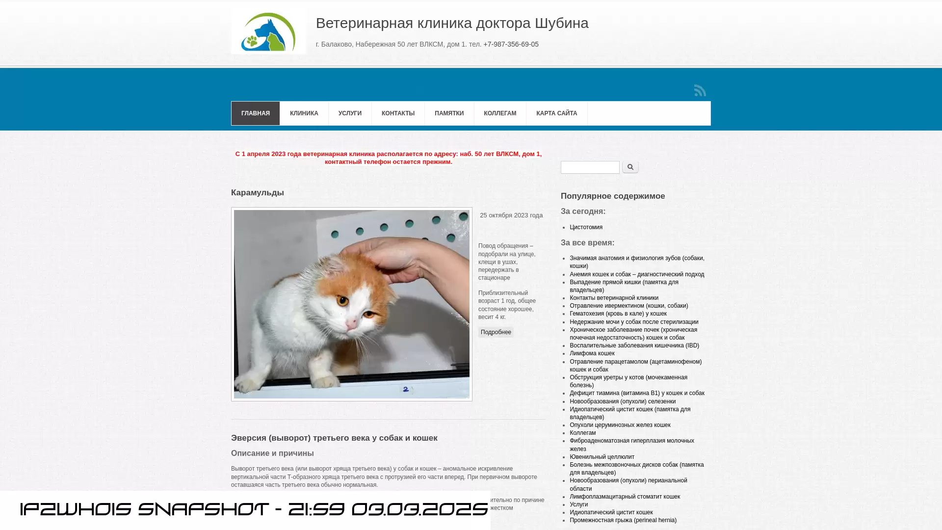 balakovo-vet.ru - snapshot