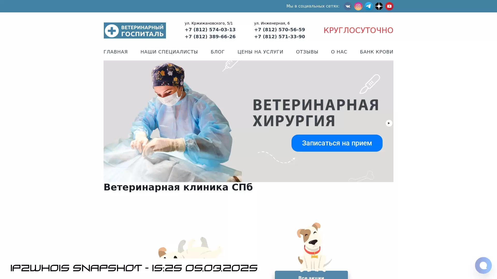 vethospital78.ru - snapshot