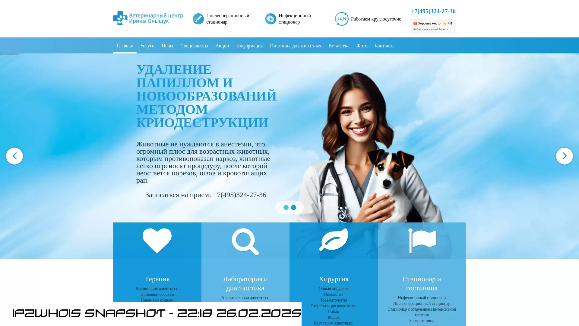 www.vetmolodcova.ru - snapshot